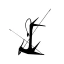 choose category: maaapo.it_1ccbb6e07a4ff4dd33905f7e6da506ea