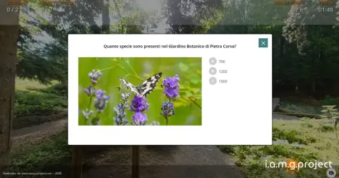 Immagine header 1 per Demo - Educational Virtual tour