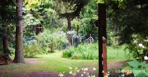 Immagine header 1 per Botanical Garden of Pietra Corva - Romagnese