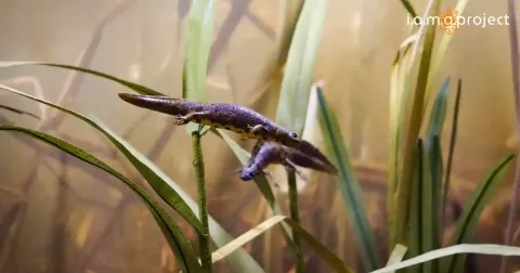 Immagine header 1 per Northern Apennines study center